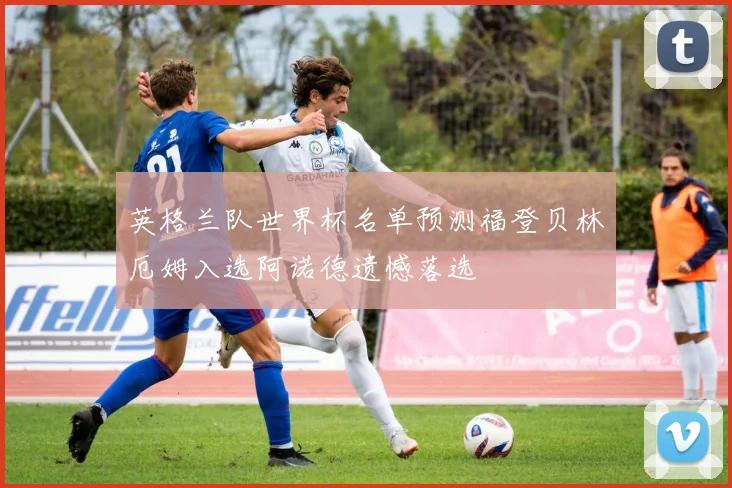 英格兰队世界杯名单预测福登贝林厄姆入选阿诺德遗憾落选